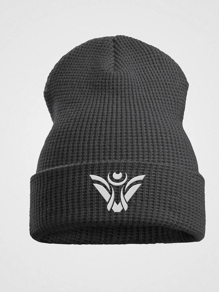Visionary Beanie product image (1)