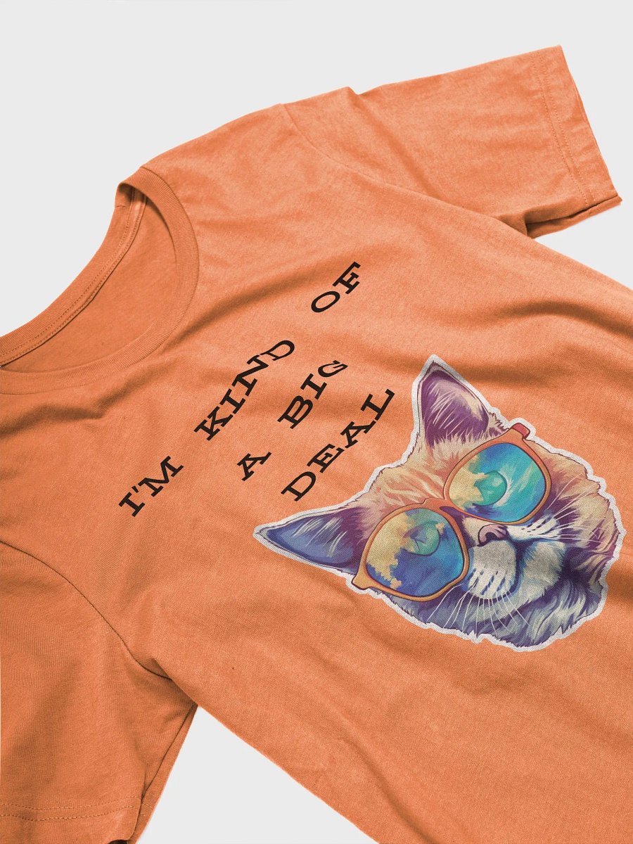 I'm kind of a big deal Supersoft T-Shirt product image (26)