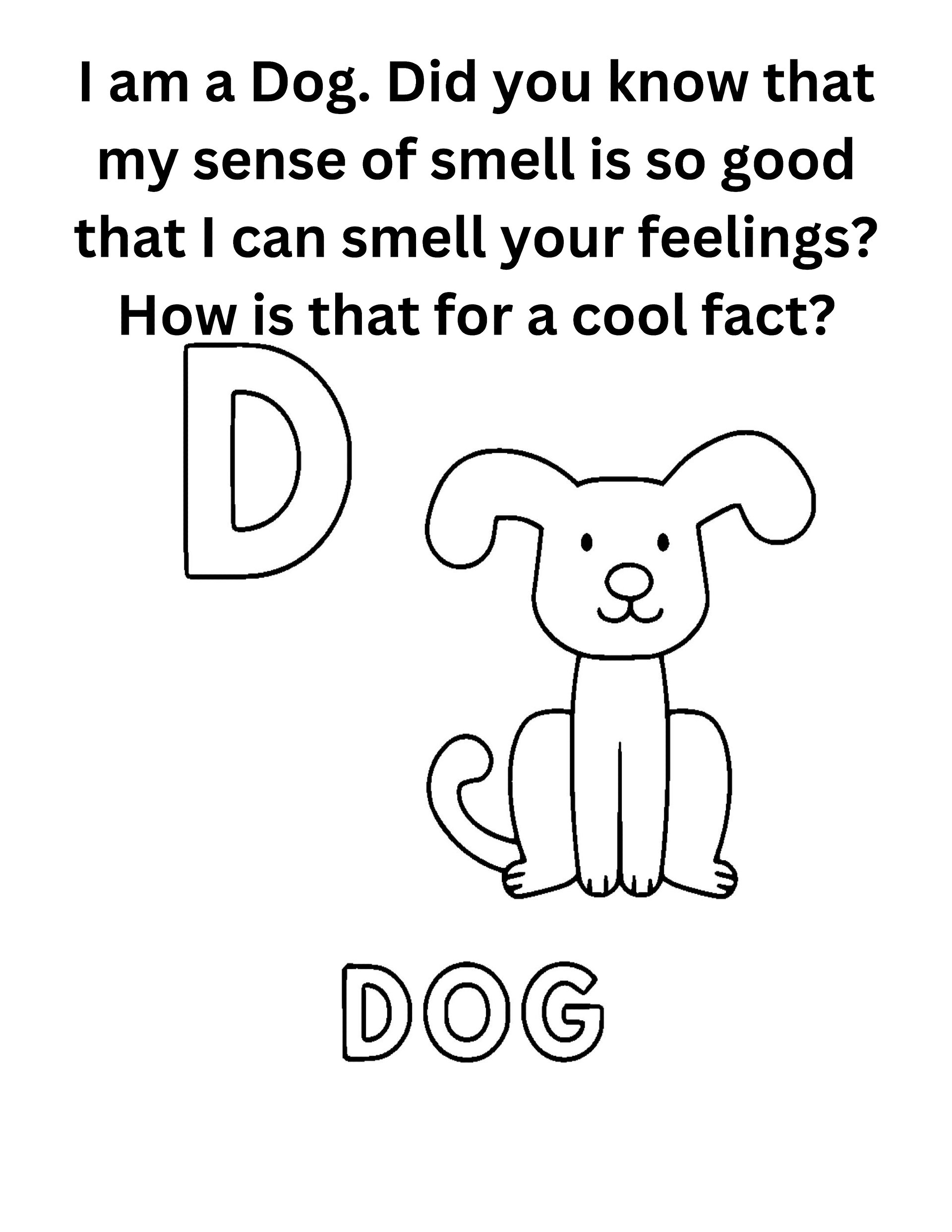 "Did You Know" Animal Facts Alphabet Coloring Pages product image (5)