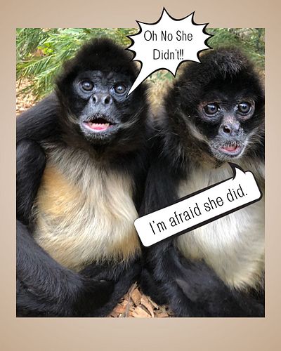A little birdie told me that A.G. Hughes sends out a newsletter on a monthly basis. You're not going to want to miss her upco...