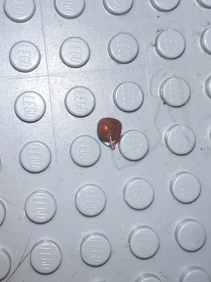 Enter in poop piece product image (2)