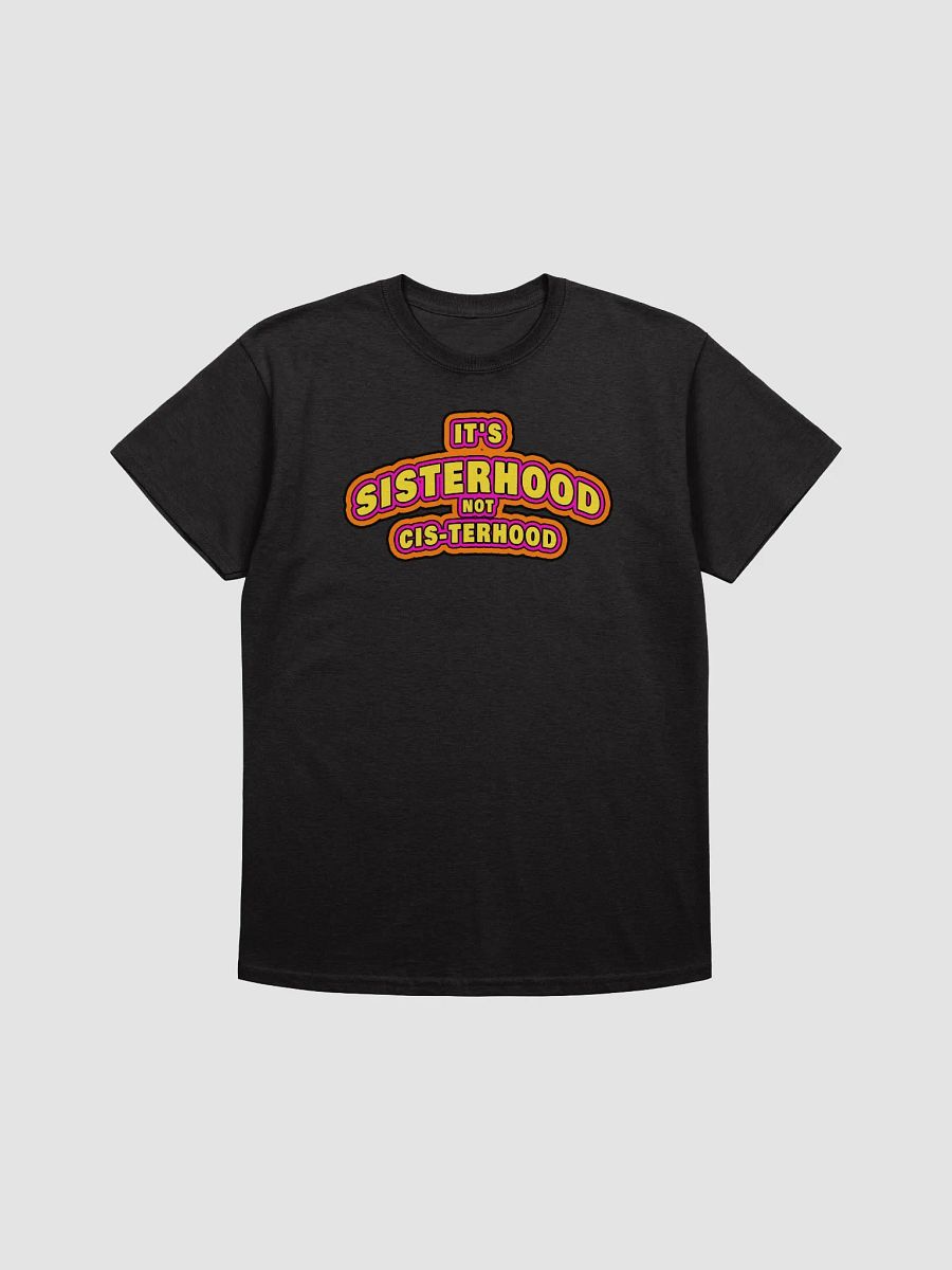 Sisterhood not Cisterhood Tee product image (3)