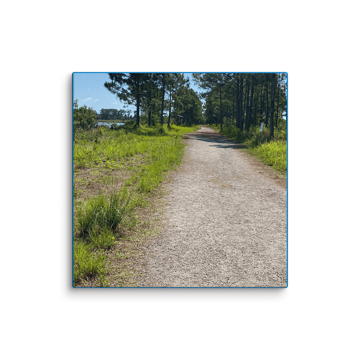 Nature's Canvas Pathway product image (2)