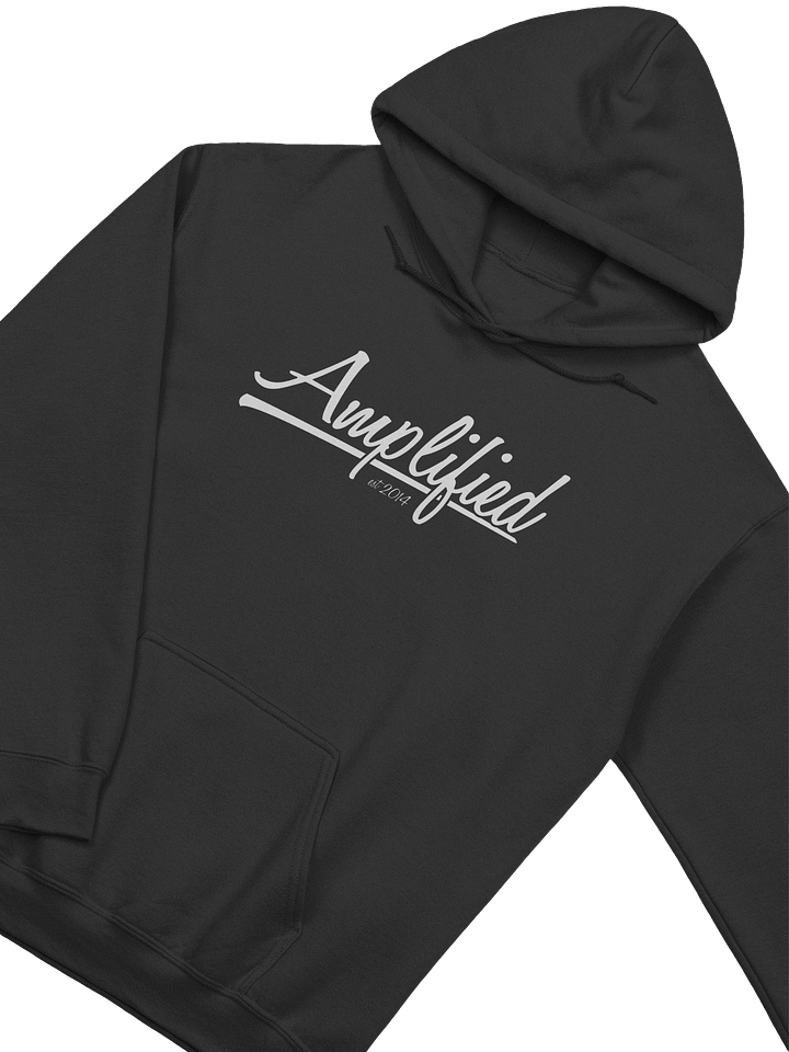 Amp Signature Hoodie product image (2)