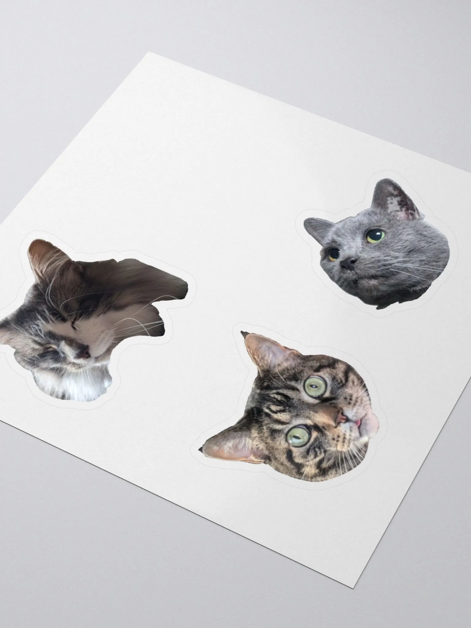 Kitty Stickers product image (9)
