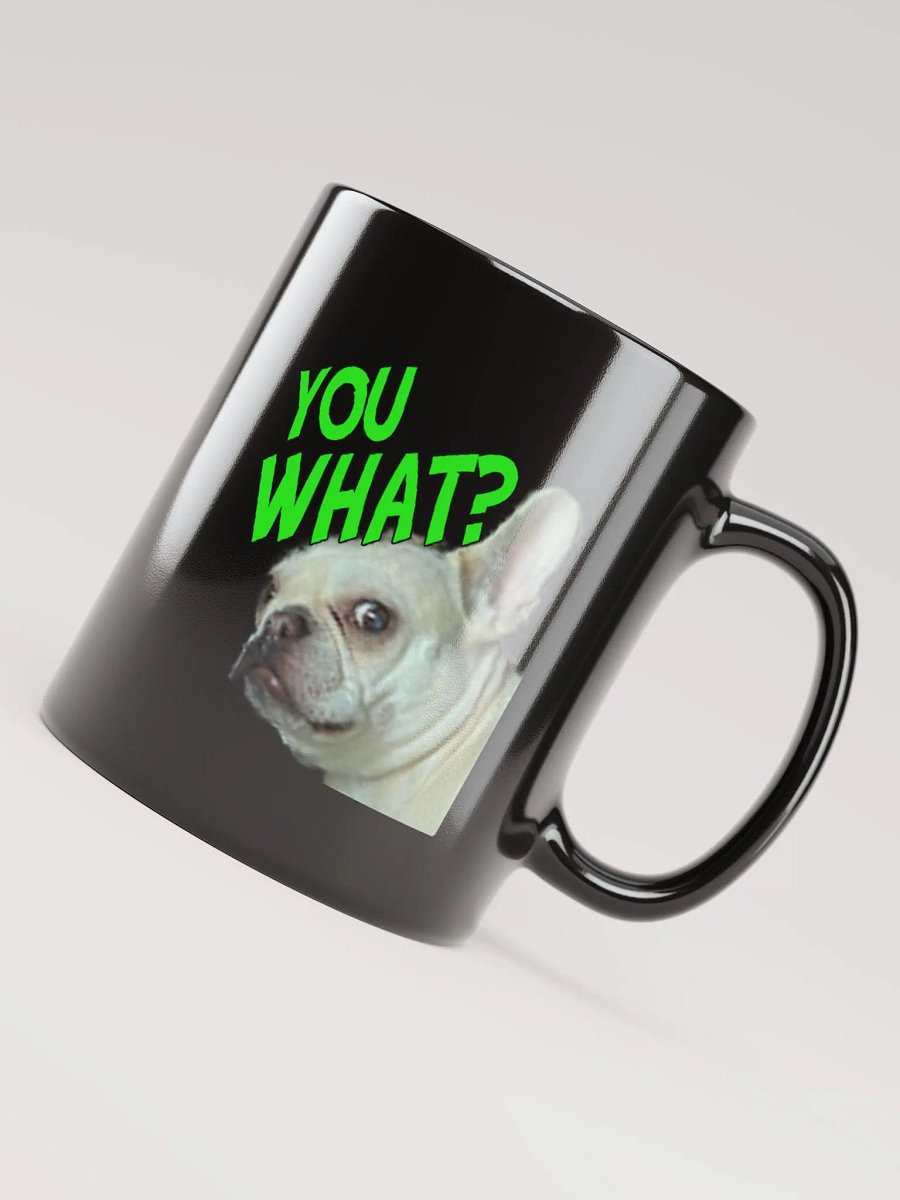 You What? Mug product image (7)