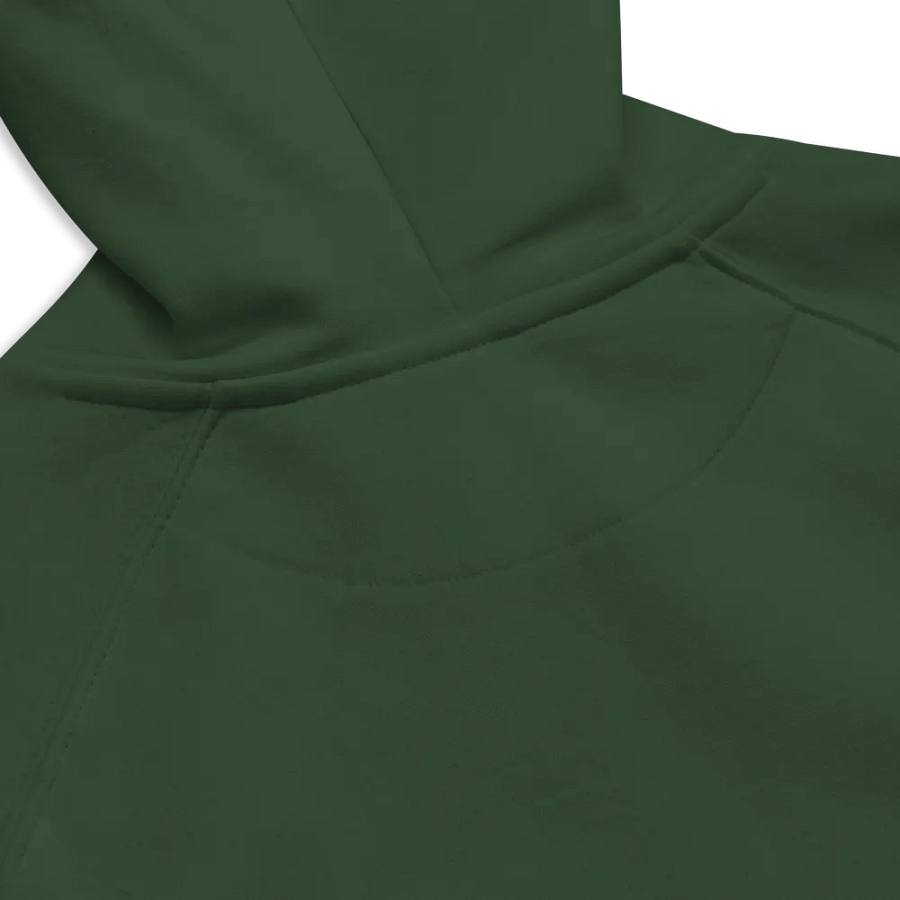 TTC Old-School 100% Organic Cotton Hoodie product image (5)