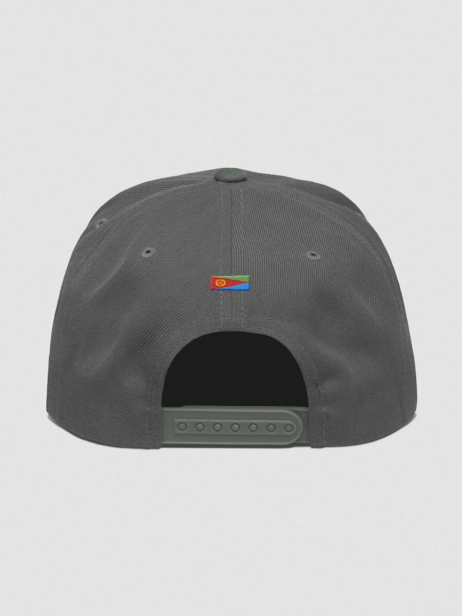 EriForce Heritage Cap product image (6)