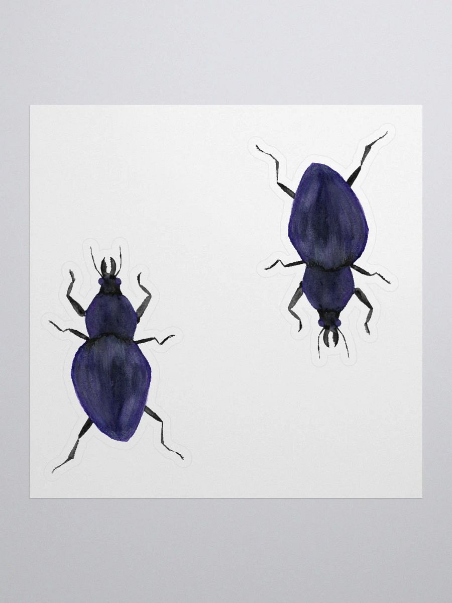 Rough Violet Ground Beetle Sticker (x2) product image (1)