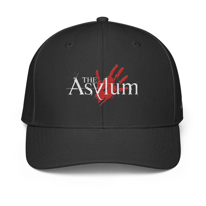 The Asylum product image (1)