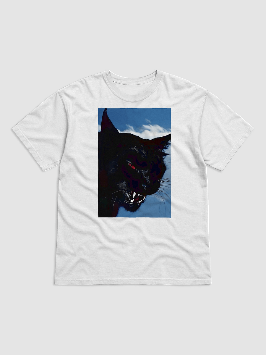 gnarly black cat tee product image (1)