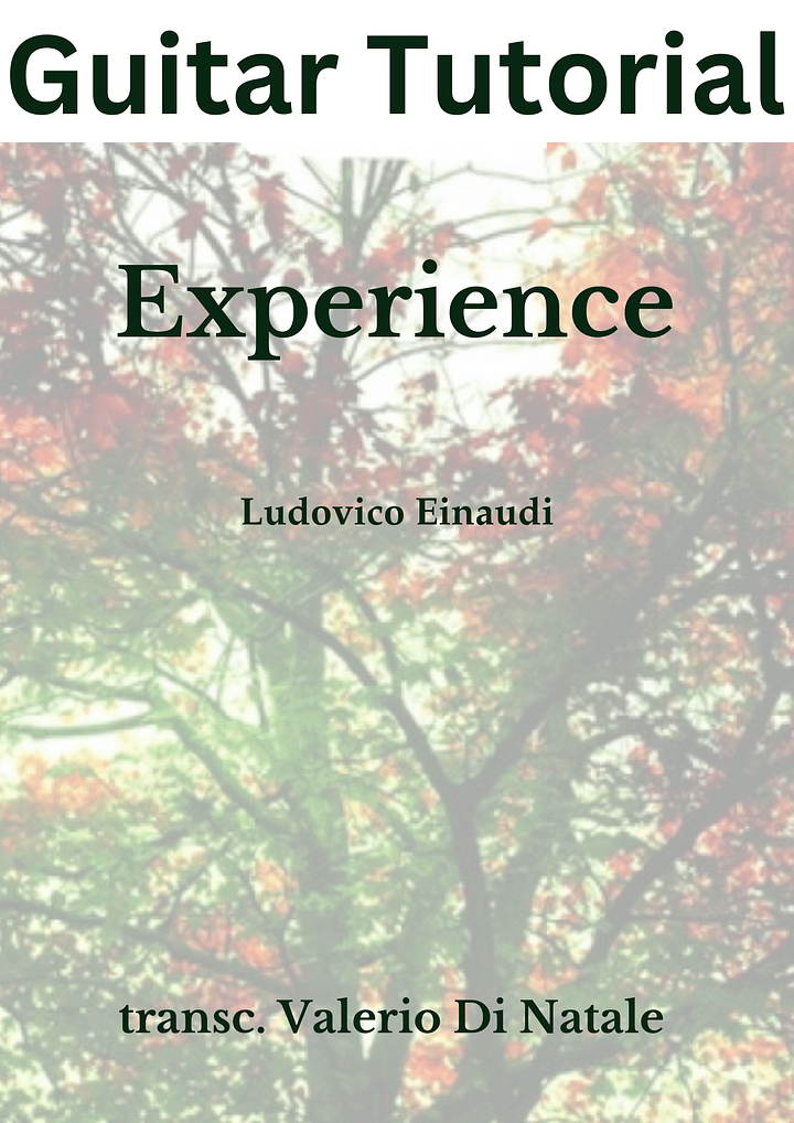 Experience by Ludovico Einaudi. product image (1)