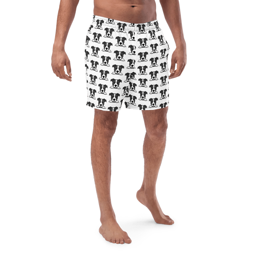 HOPPER SWIMSHORTS product image (4)