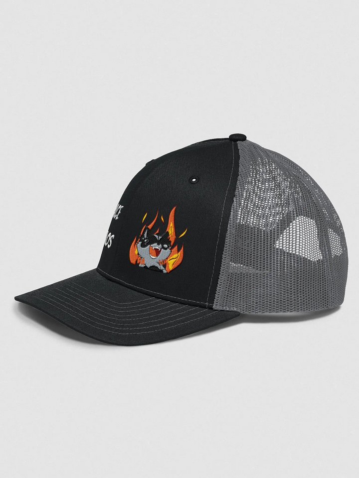 Embracing Chaos Racoon Hat product image (2)