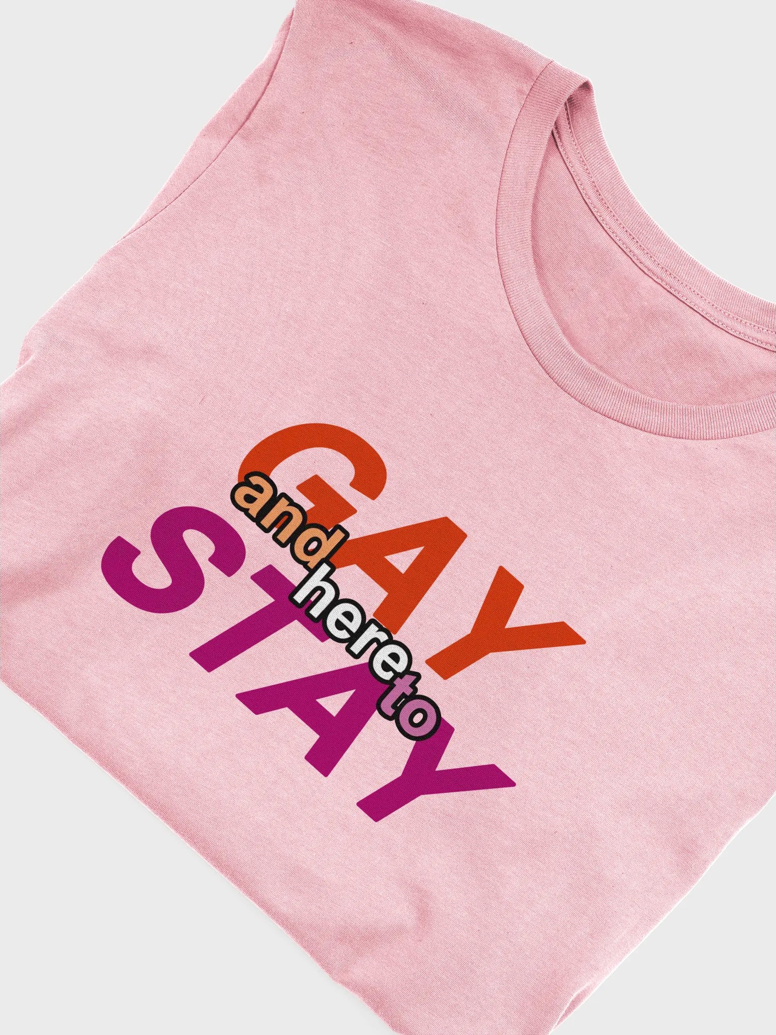 gay and here to stay (lesbian) t-shirt product image (5)