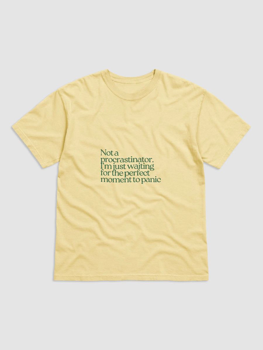 Perfect Moment Panic Tee product image (7)