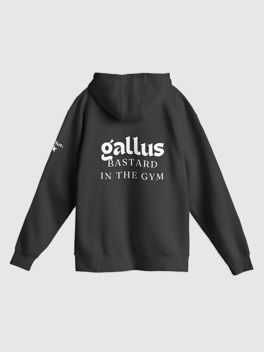Gallus Hoodies product image (1)