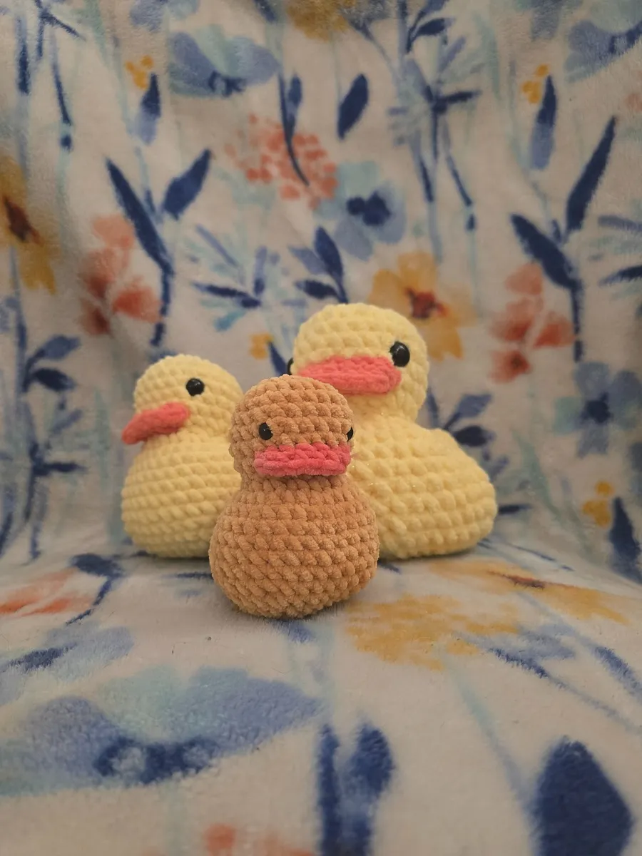 Duck Pal product image (3)