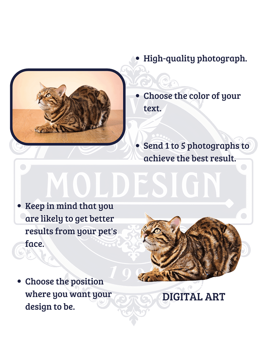 YOUR BENGAL! / T-SHIRT WITH PERSONALIZED NAME / DIGITAL ART III product image (4)