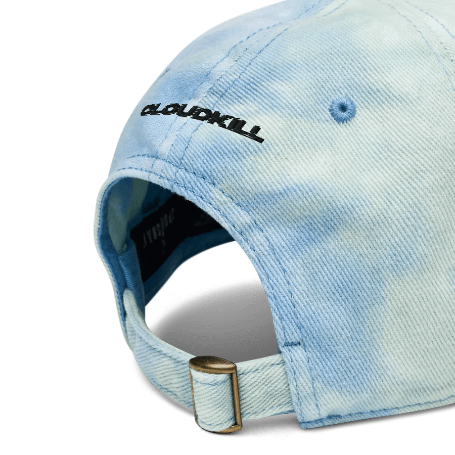 Paladin Dad Cap product image (6)