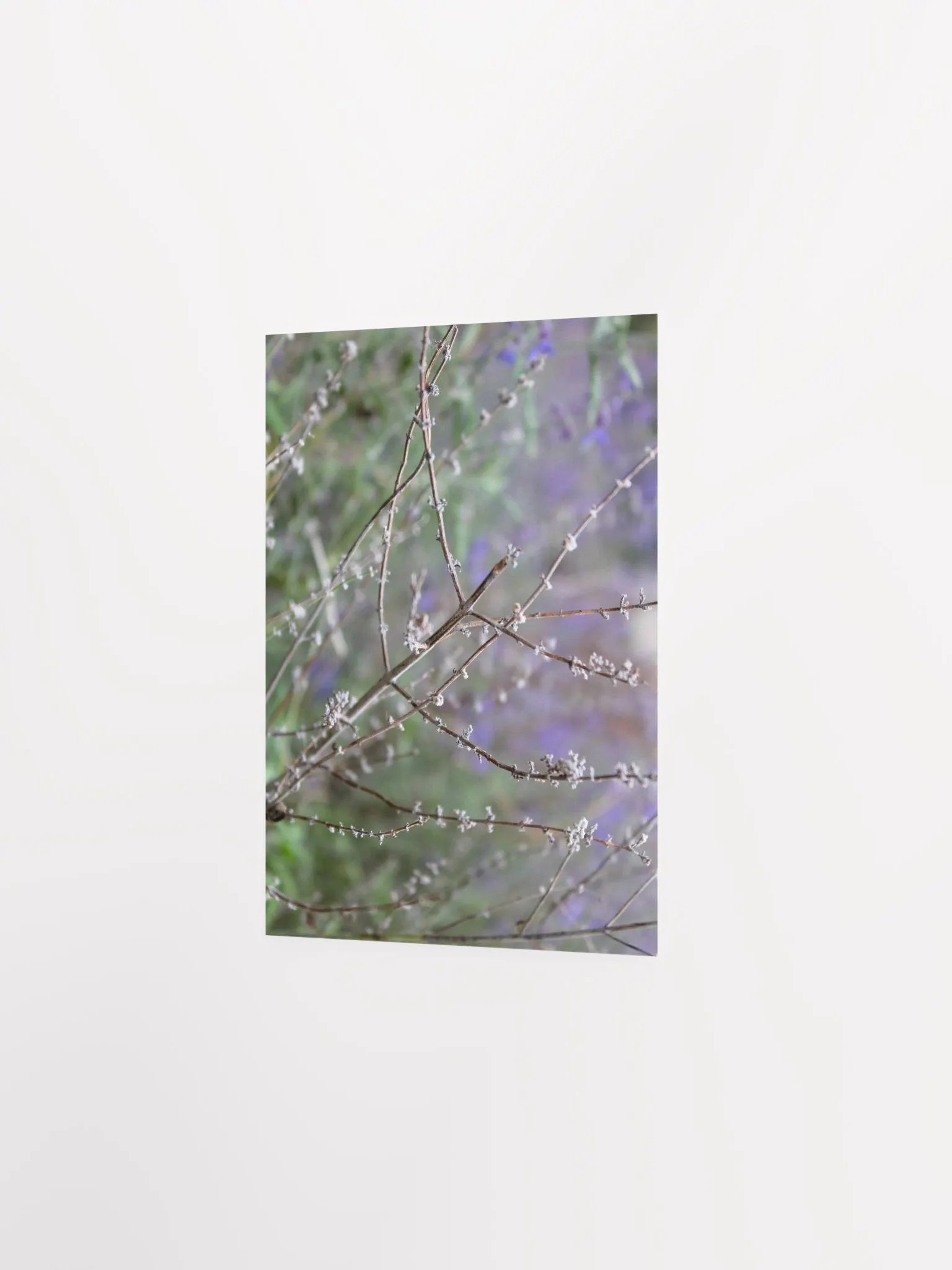 A Study in Flowers 15 product image (16)