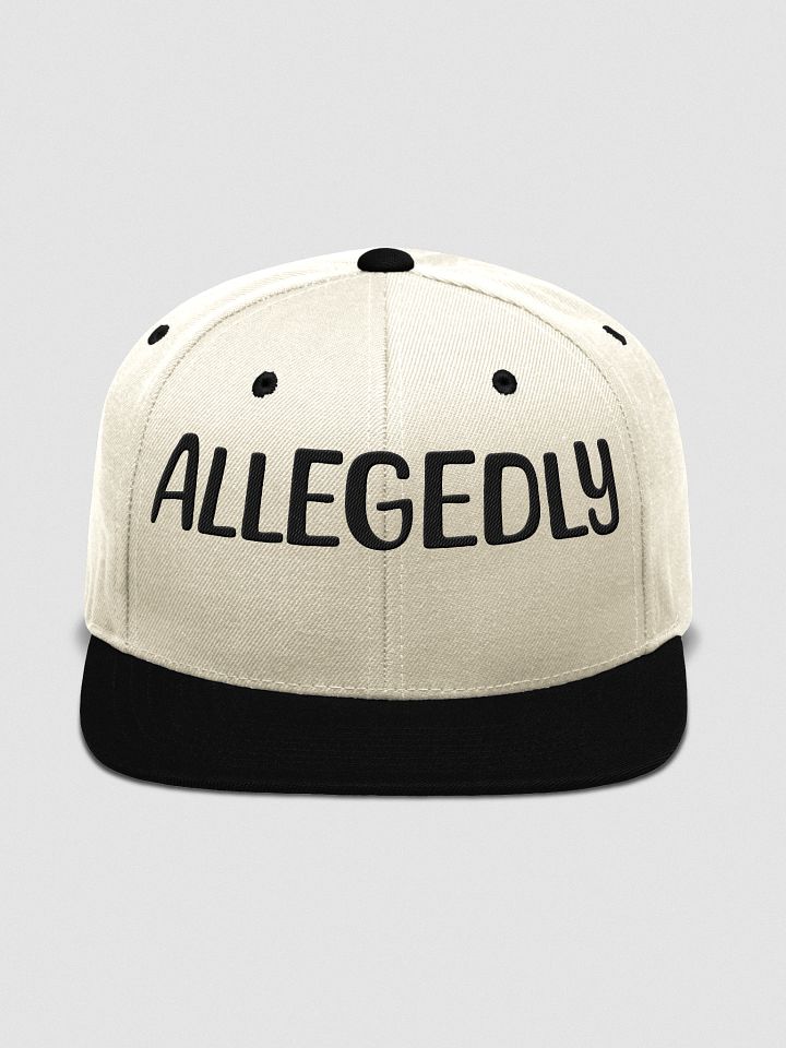 ALLEGEDLY POLTICAL EMBROIDERY Cap product image (15)