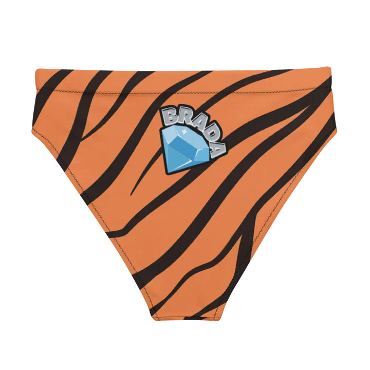 Brada Tiger Stripes Recycled Bikini Bottoms product image (2)