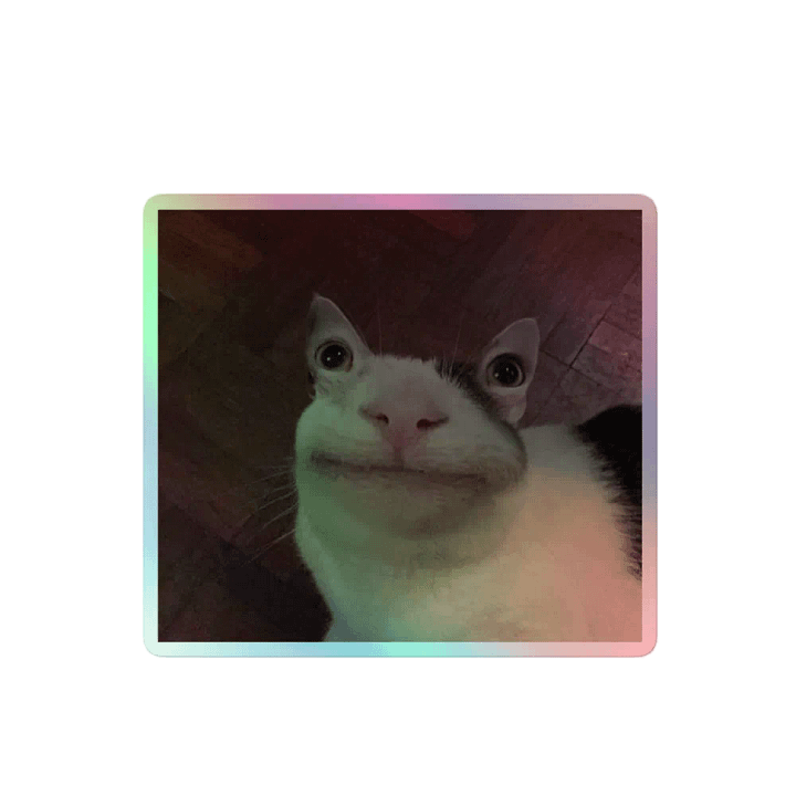 Cat sticker product image (2)