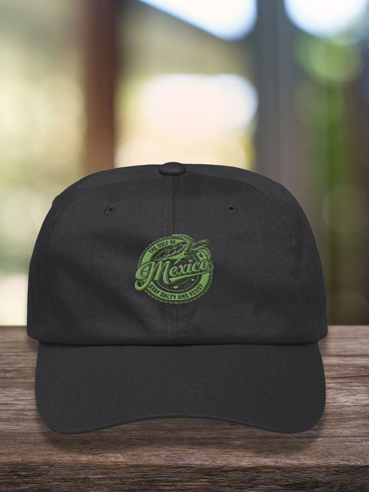 Gulf of Mexico – Stay Salty Hat product image (1)