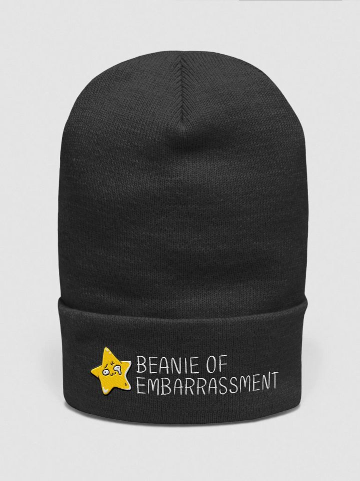 Beanie Of Embarrassment product image (1)