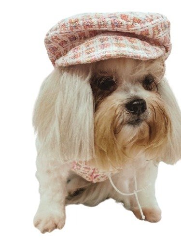 Vestido Pet Parisien - Modelagem Pet PDF product image (5)