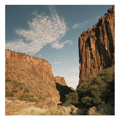 Descending phoenix. September song.