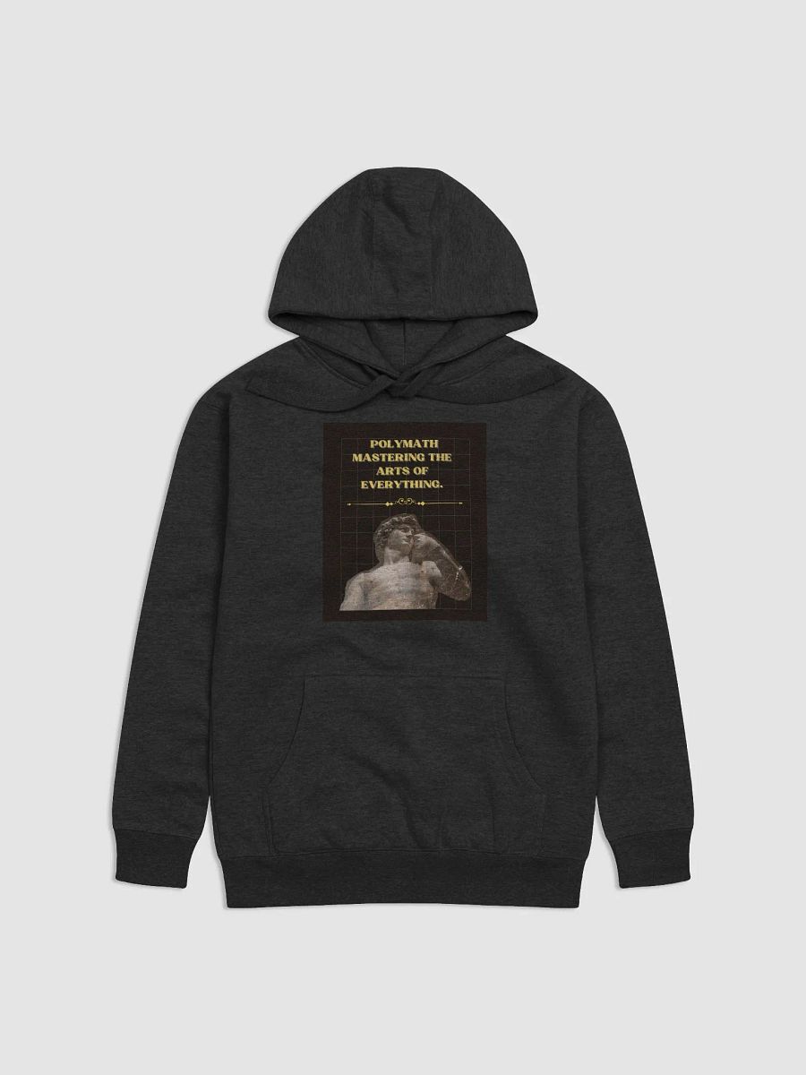 POLYMATH HOODIE (C) product image (1)