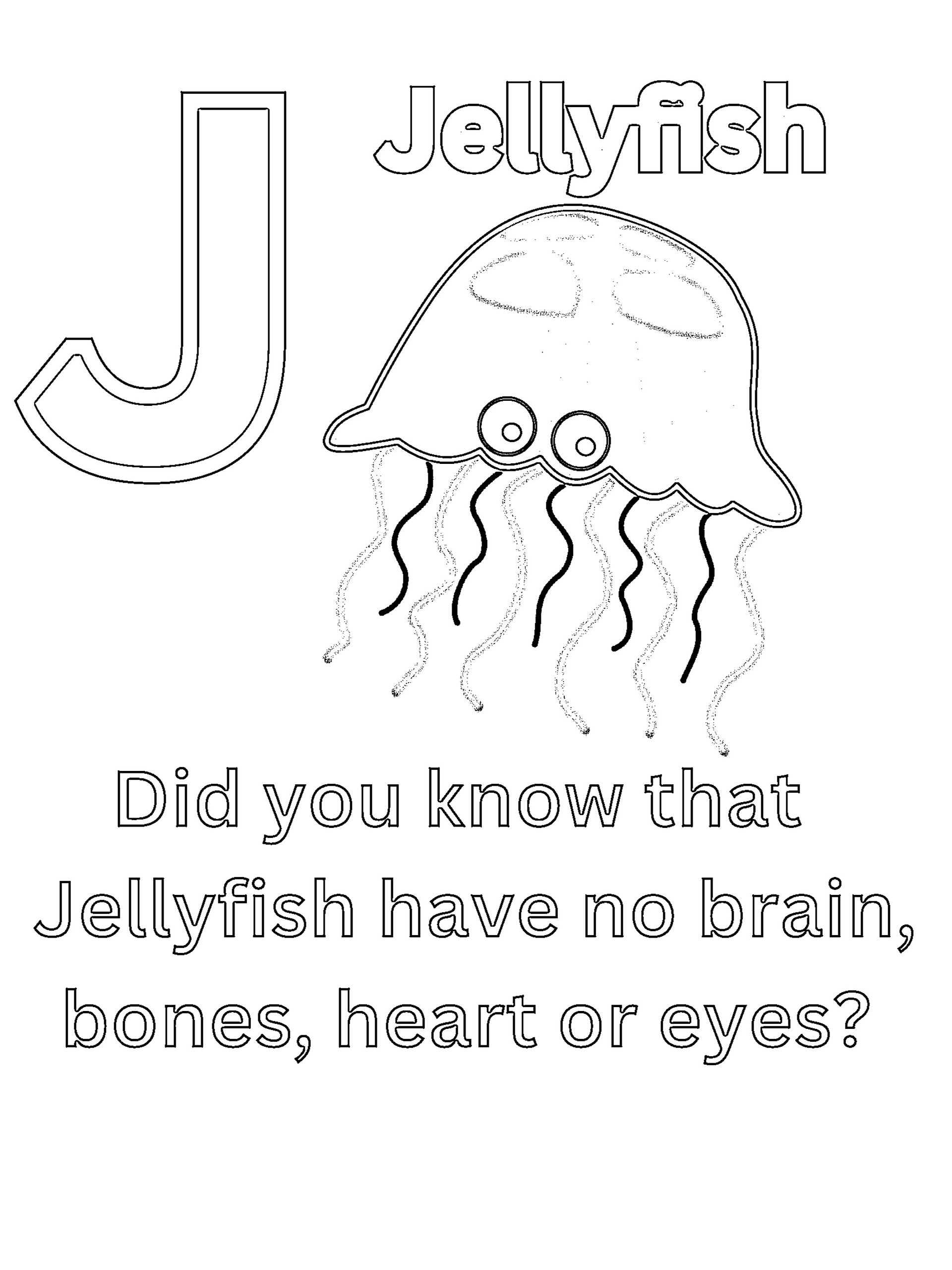 Cool Animal Facts ABCs Coloring Book: Animal Names and Information for Preschoolers and Kindergarten Children product image (5)