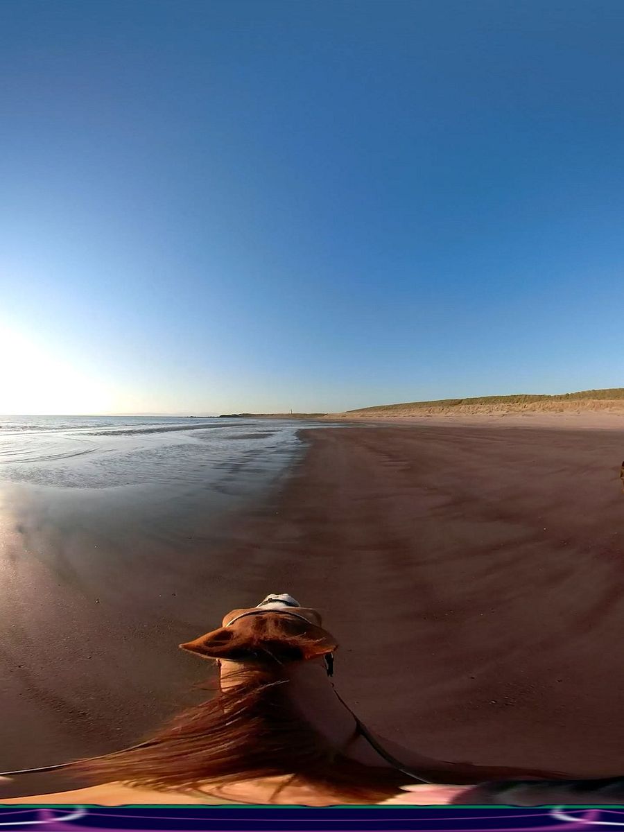 "Coastal" Part of the Scottish Treasure "Moments" Suite product image (4)