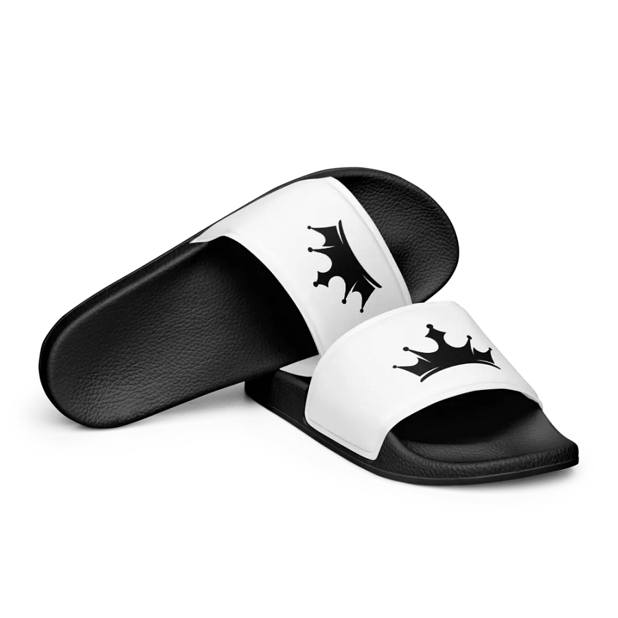 Talking Pounds SLIDDERS product image (10)