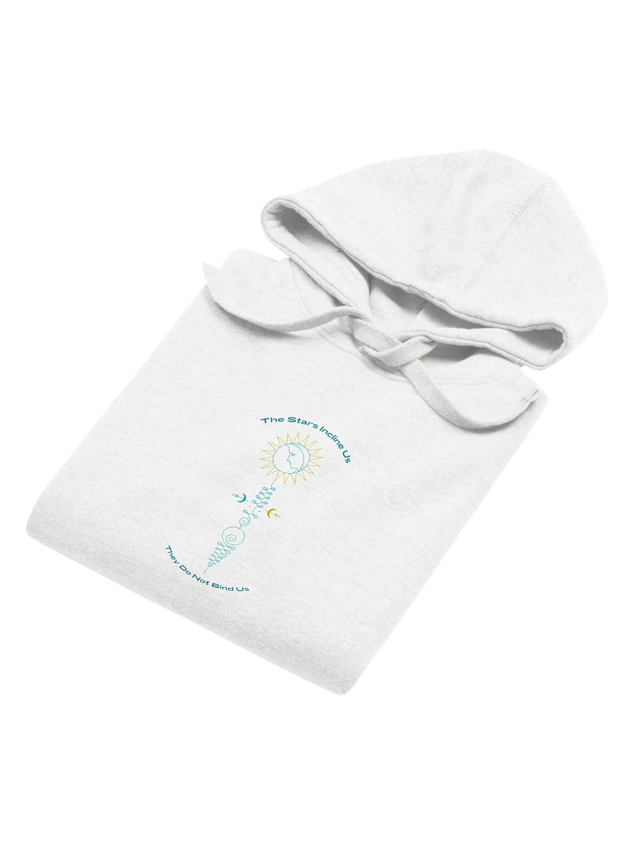 Aspiration Cozy Cotton Comfort Hoodie product image (4)