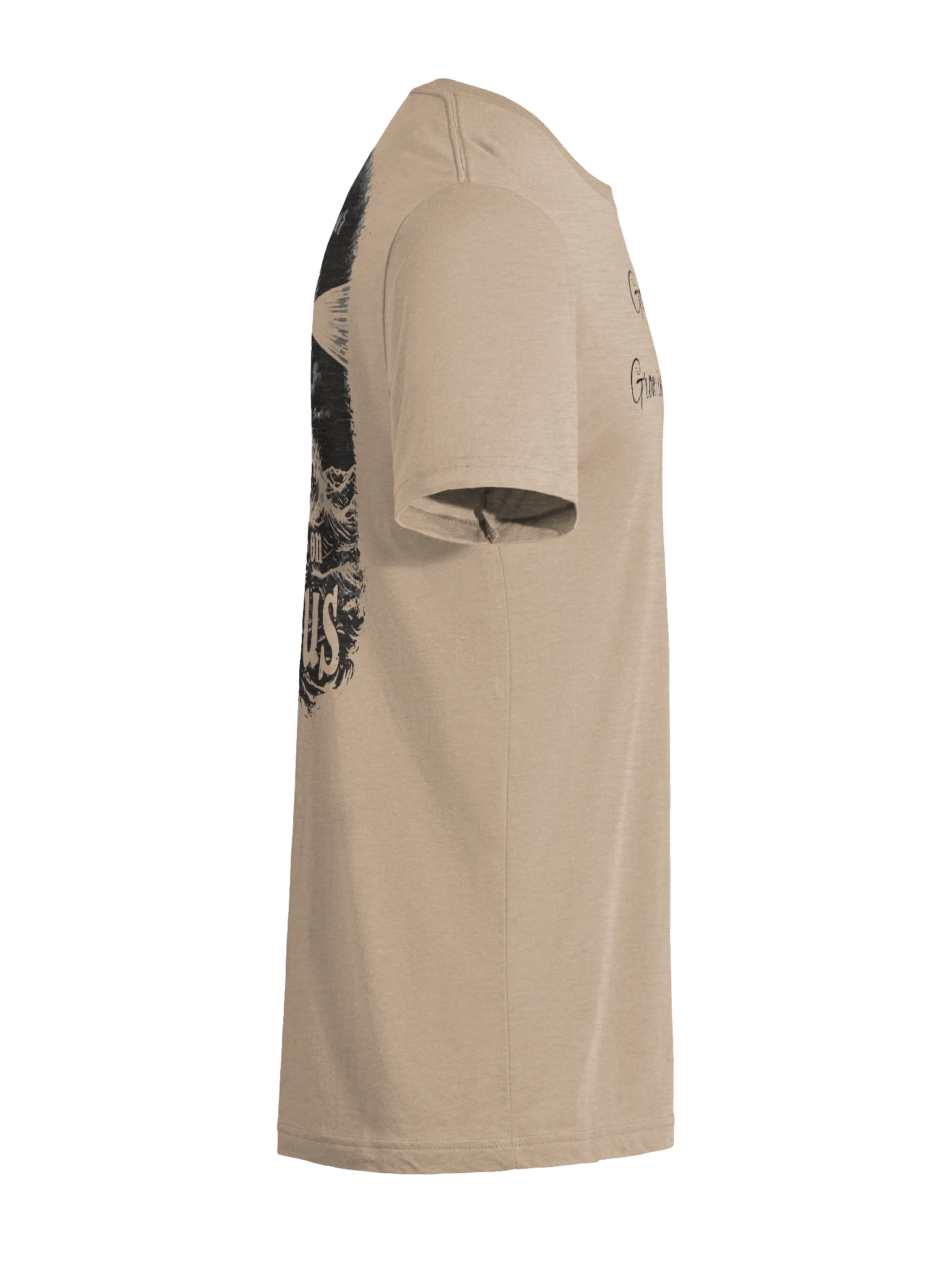 Go With God Triblend Shirt product image (79)