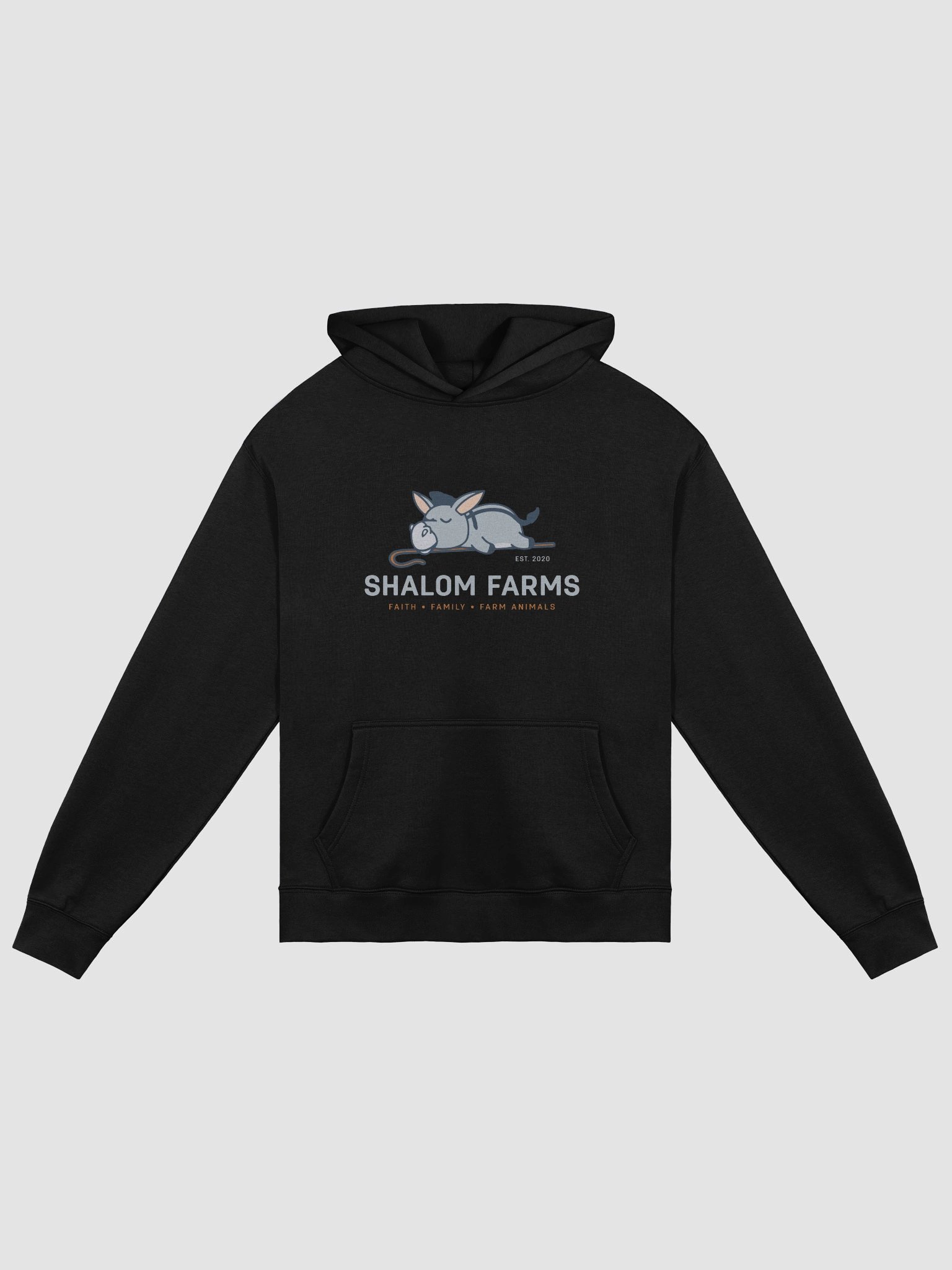 AS Color Premium Oversize Hoodie Full Logo product image (1)