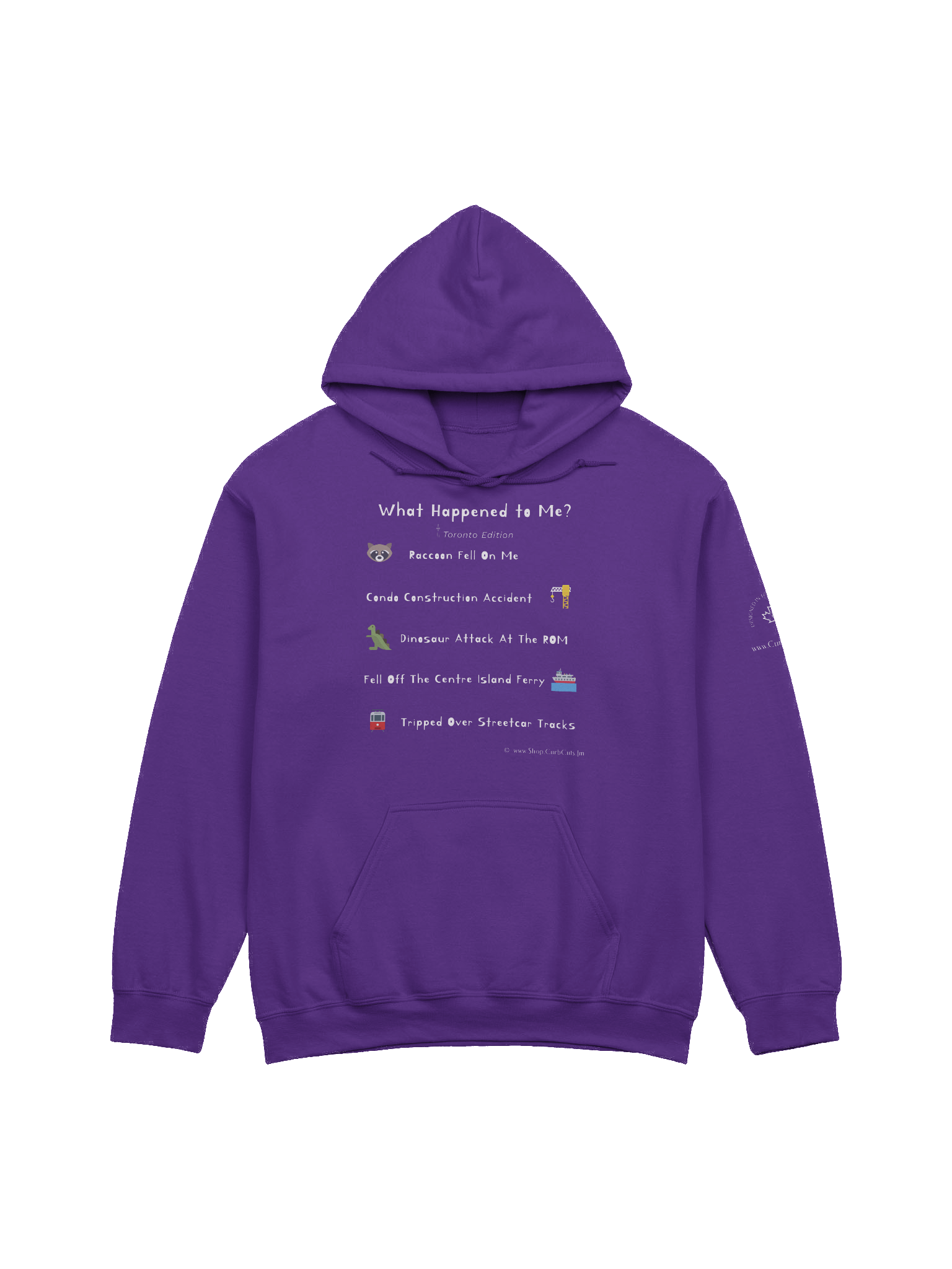 WHAT HAPPENED TO ME ? (Toronto Edition): Hoodie product image (1)