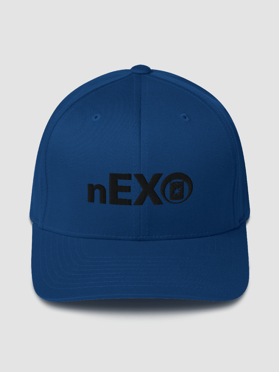 nEXO FlexFit Hat w/ Dark Logo product image (1)