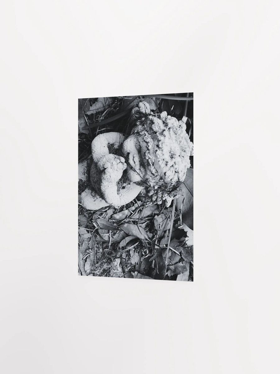 Angel of Decay product image (21)