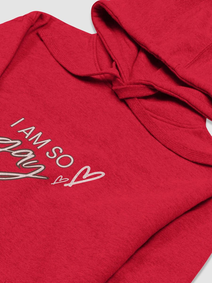 I am so gay hoodie product image (3)