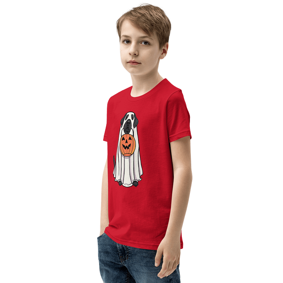 Halloween Labrador Retriever(Black) Youth T-Shirt product image (23)