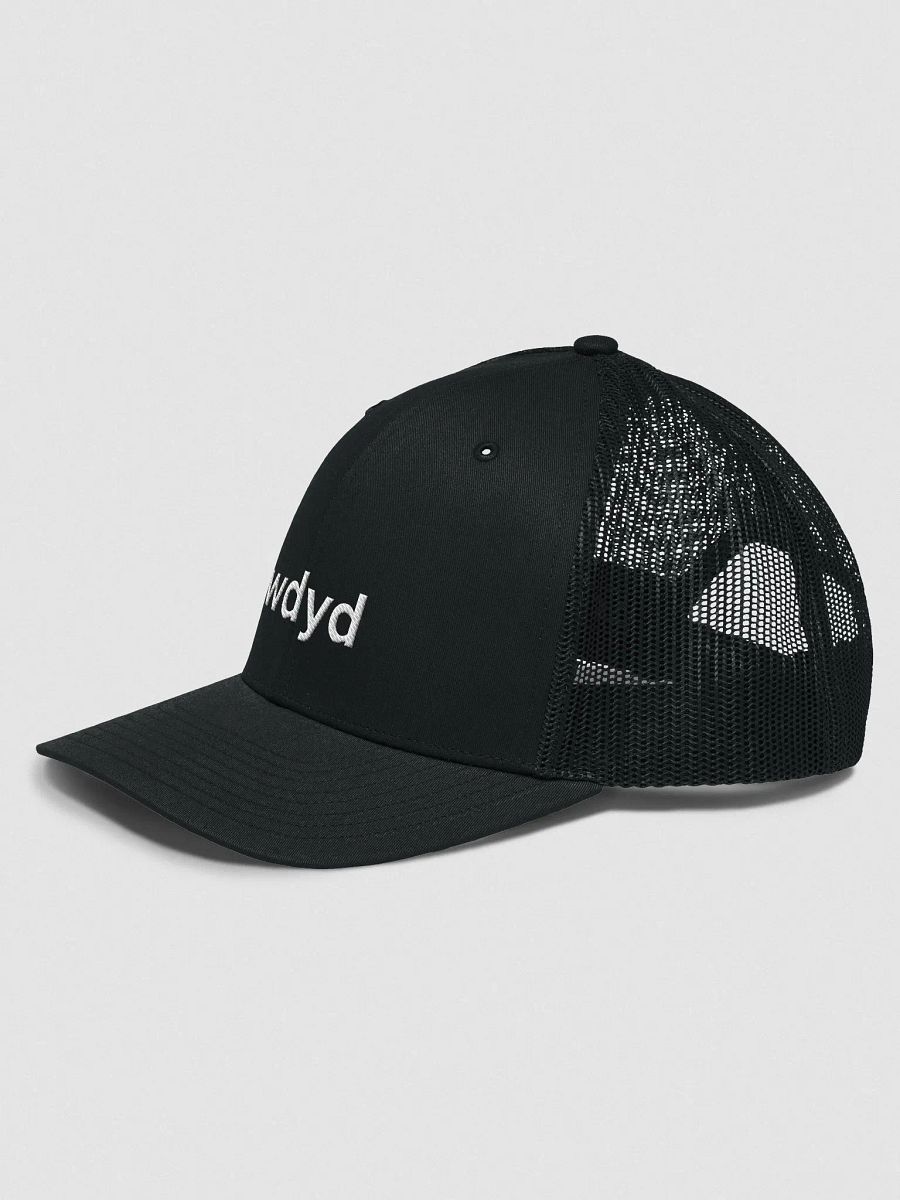 wdyd trucker hat product image (4)