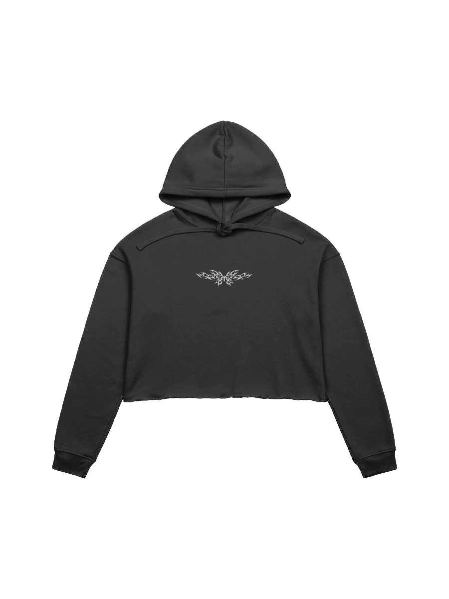 Skull Tribe : Crop Hoodie product image (1)
