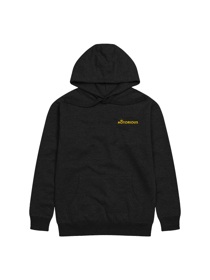 Notorious Hoodie product image (2)