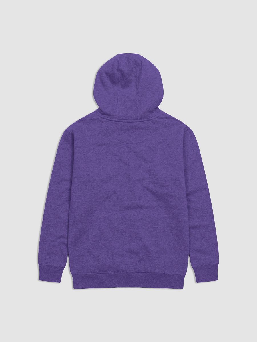 TTMD Playing Switch'em Hoodie (Black) product image (18)