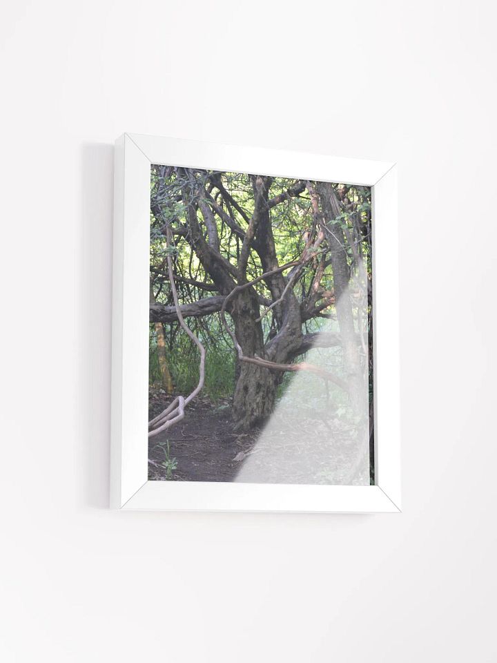 Tree of Branches High Quality Poster product image (11)
