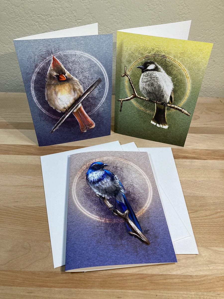Illustrated Birds Variety Pack Greeting Cards, 5x7” Note Cards, 6 Pack, Blank Inside, with Envelopes product image (4)